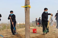 河南商丘：睢阳区区委书记栗朝举带领区四大班子领导开展春季义务植树活动
