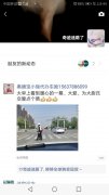 你拦停的动作真美!