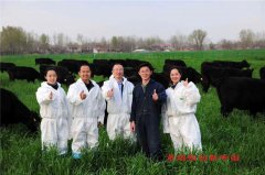 河南柘城：秸秆回收再利用 变废为宝促增收