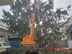 商丘市睢阳区新城街道办事处：居民安全无小事 接诉即办民称赞