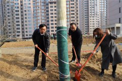 商丘市睢阳区新城街道办事处：积极开展春季义务植树活动